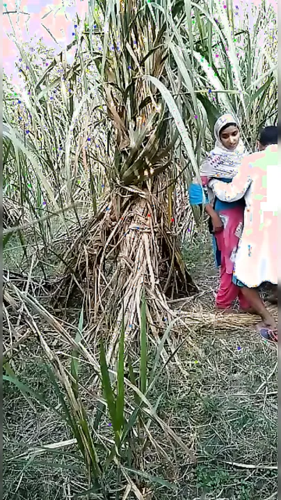 Village Bhabhi Dropping Saree For Outdoor Devar Cock Ride Scandal