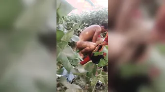 Dehati Couples Swapping Wives For Raw Pussy Pounding In Fields