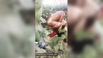 Dehati Couples Swapping Wives For Raw Pussy Pounding In Fields