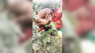 Dehati Couples Swapping Wives For Raw Pussy Pounding In Fields
