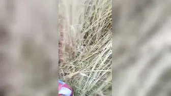 Shy Hairy Pussy Desi Girl Enjoying Outdoor Sex With Her Lover