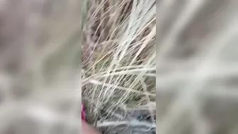 Shy Hairy Pussy Desi Girl Enjoying Outdoor Sex With Her Lover