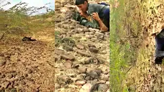 Village Slut Fucked Hard Open By Local Lads In Fields