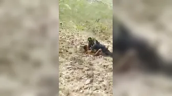 Village Slut Fucked Hard Open By Local Lads In Fields