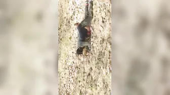 Village Slut Fucked Hard Open By Local Lads In Fields