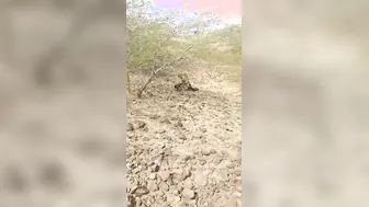 Village Slut Fucked Hard Open By Local Lads In Fields