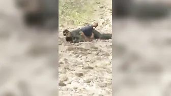 Village Slut Fucked Hard Open By Local Lads In Fields