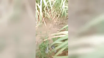 Village Gf Caught Fucking Hard In Outdoor Mms Leak
