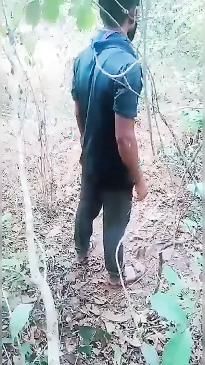 Mature Bhabhi Seducing Young Stud Outdoors In Sugarcane Field