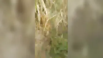 Bhabhi Outdoor Chudai Leaked Online Near Village Pond Hot