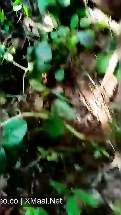 Odia Village Slut Bending For Outdoor Doggy Chudai Scandal Mms