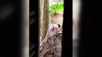 Neighbor Bhabhi Soaping Naked Body In Outdoor Bucket Bath Spy