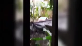 Neighbor Bhabhi Soaping Naked Body In Outdoor Bucket Bath Spy