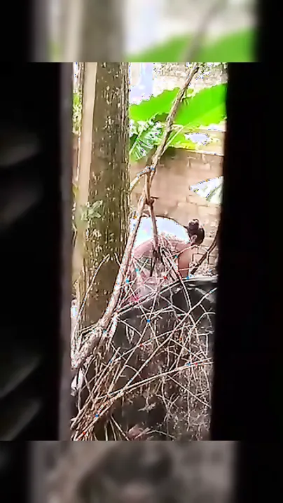 Neighbor Bhabhi Soaping Naked Body In Outdoor Bucket Bath Spy