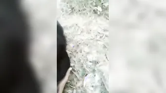 Bihari Village Sluts Sucking And Riding Outdoors Mms Leak