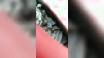 Bihari Village Sluts Sucking And Riding Outdoors Mms Leak