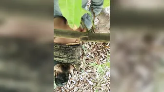 Big Ass Bhabhi Bent Over Fucked By Neighbor In Fields Mms