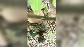 Big Ass Bhabhi Bent Over Fucked By Neighbor In Fields Mms