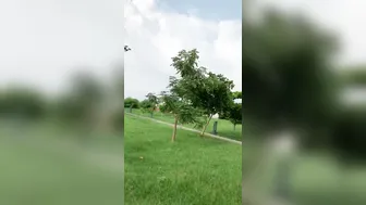 Daring Bhabhi Sucking Lund Deep In Park Behind Bushes Thrill