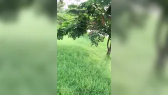 Daring Bhabhi Sucking Lund Deep In Park Behind Bushes Thrill