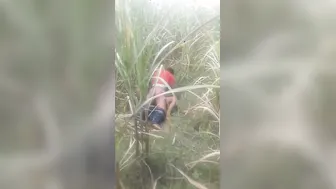 Voyeur Catches Bihari Couple Outdoor Raw Chudai