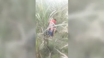 Voyeur Catches Bihari Couple Outdoor Raw Chudai