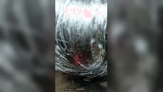 Pov Dehati Blowjob Leaked From Village Mobile Phone