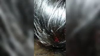 Pov Dehati Blowjob Leaked From Village Mobile Phone