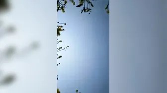 Young Dehati Slut Drilled Roughly Outdoors By Lover