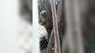 Desi Labor Babe Raided By Contractor's Rough Cock Ride