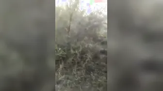 Desi Slut Double Penetrated Hard By Studs Mms Leak