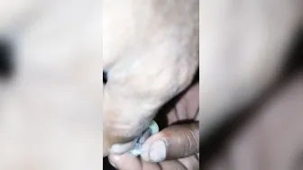 Village Randi Getting Hammered Hard On Hidden Cam Live