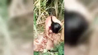 Dehati Babe Spreading Legs For Boyfriend's Outdoor Raw Fuck