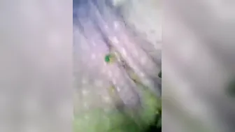 Desi Wife Stroking Hubby's Lund In Nighty Mms Leaked