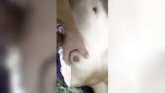 Small Boobs Assamese Bhabhi Fucked Raw In Jungle Tea Garden