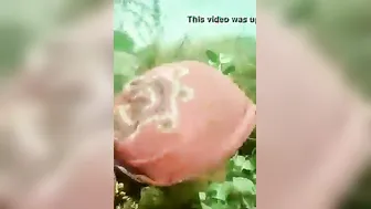 Village Wifey Flashing Hairy Chut Outdoors Caught On Camera