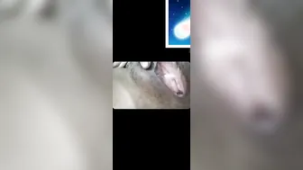 Village Bhabhi Fingering Tight Pussy In Naughty Desi Viral Clip