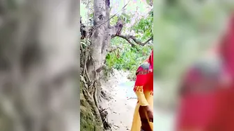 Desi Lovers Caught Fucking Hardcore Outdoors Leaked Mms