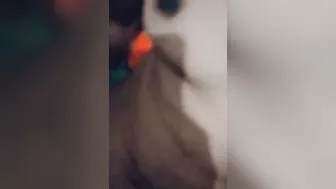 Indian Slut Moaning While Rubbing Hairy Pussy In Her Village Bed