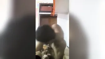 Lover Pounding Wet Desi Wife's Chut With Raw Pleasure Thrusts