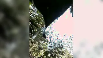 Village Lovers Fucking Raw Outdoor Leaked In Sugarcane Field Thrill