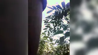 Village Lovers Fucking Raw Outdoor Leaked In Sugarcane Field Thrill