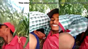 Young Desi Lovers Group Sex Romp In Open Village Field Mms