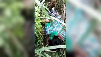 Dehati Pair Rutting Hard In Lush Gaon Grass Field Fuck