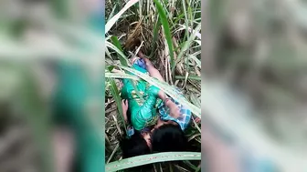 Dehati Pair Rutting Hard In Lush Gaon Grass Field Fuck