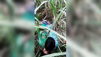 Dehati Pair Rutting Hard In Lush Gaon Grass Field Fuck