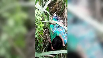 Dehati Pair Rutting Hard In Lush Gaon Grass Field Fuck