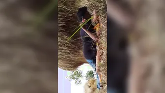 Desi Lovers Sneaking Outdoor Fuck First Time In Fields