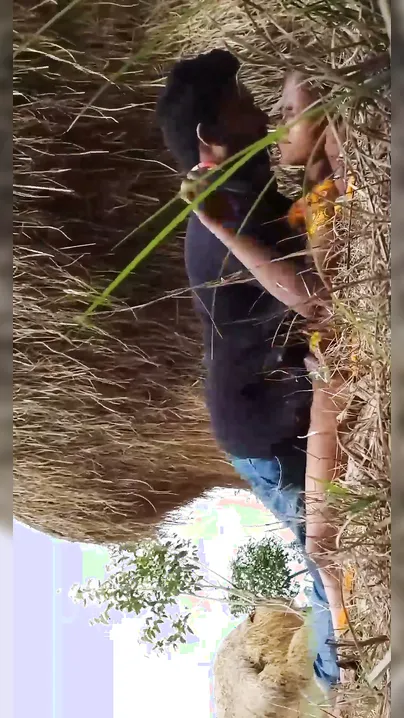 Desi Lovers Sneaking Outdoor Fuck First Time In Fields