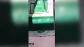 Rooftop Desi Lovers Caught Fucking By Peeping Uncle